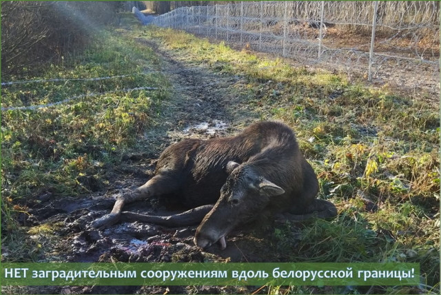 НЕТ заградительным сооружениям вдоль белорусской границы!