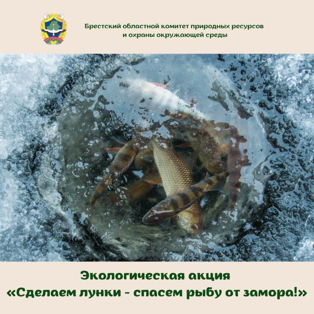 Экологическая акция «Сделаем лунки — спасем рыбу от замора!»