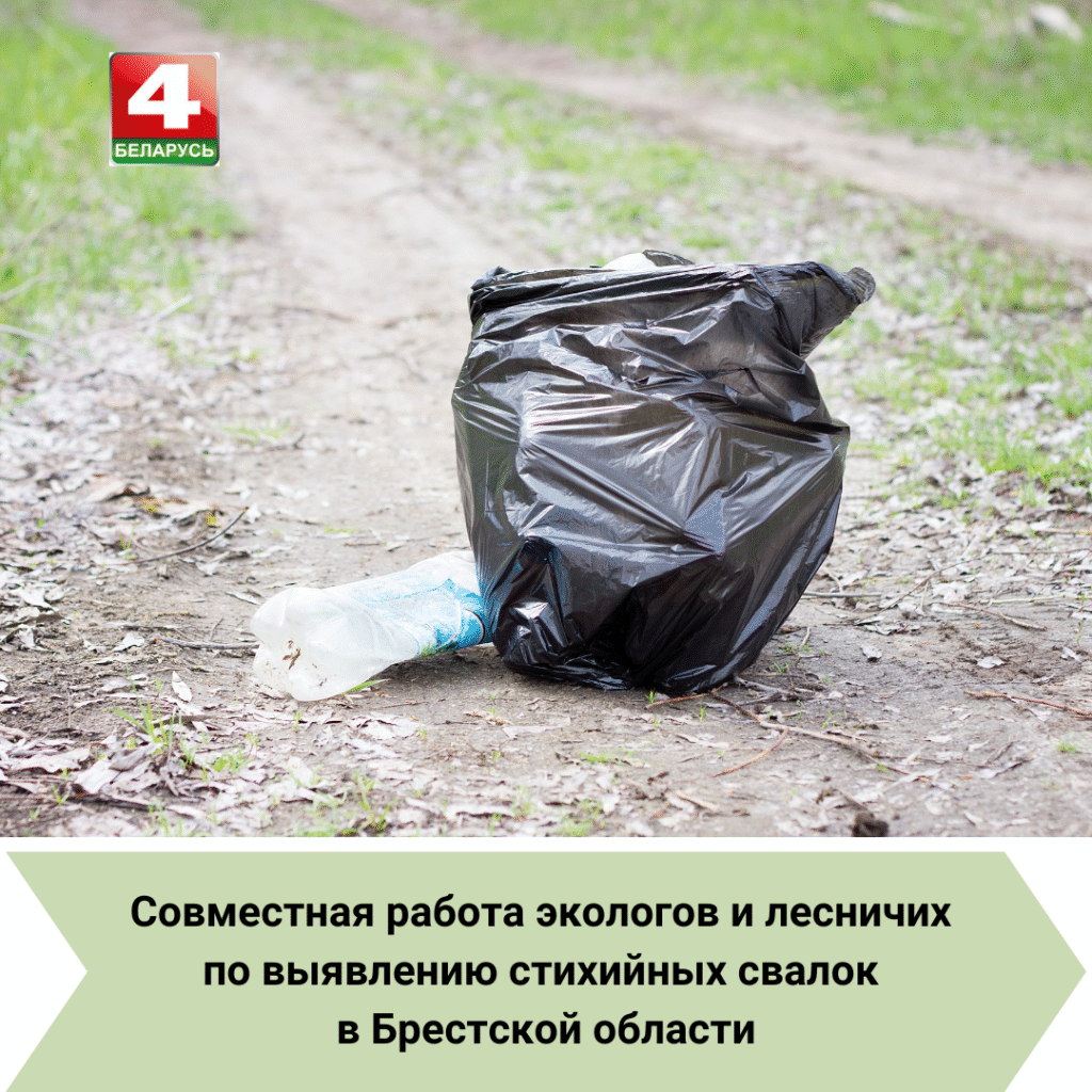 Контрольно-аналитические мероприятия по выявлению стихийных свалок в Брестской области