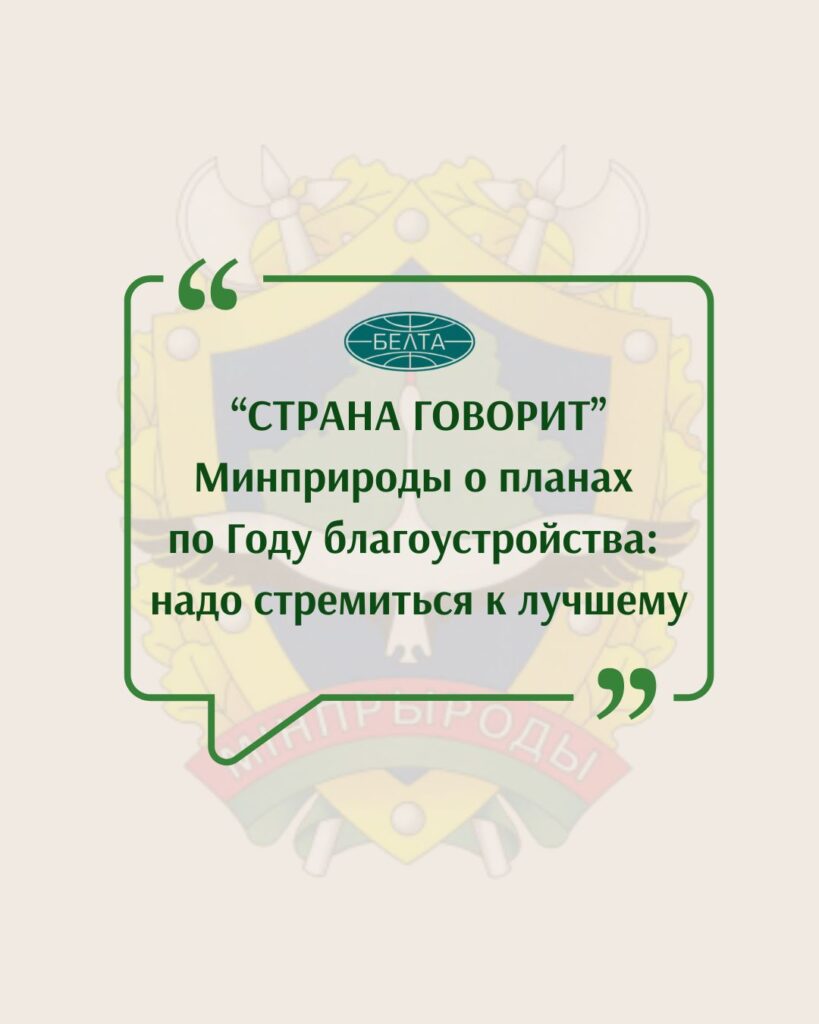 Минприроды о планах по Году благоустройства: надо стремиться к лучшему (ВИДЕО)