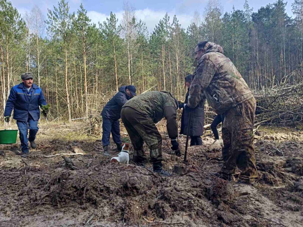 Мирный созидательный труд во благо чистой и зеленой страны!