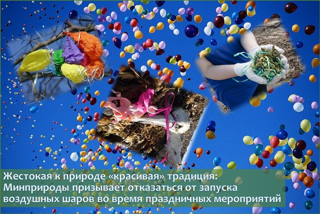 Поздравление председателя Брестского областного комитета природных ресурсов и охраны окружающей среды Яна Венсковича с Новым 2024 годом!