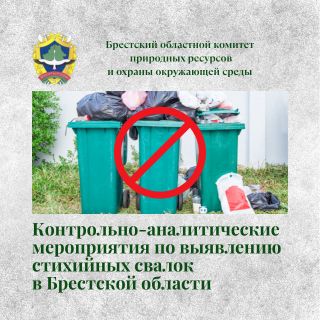 Контрольно-аналитические мероприятия по выявлению стихийных свалок в Брестской области