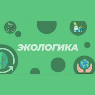 Экологика: зеленые школы брестской области (ВИДЕО)