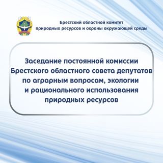 Заседание постоянной комиссии Брестского областного Совета депутатов