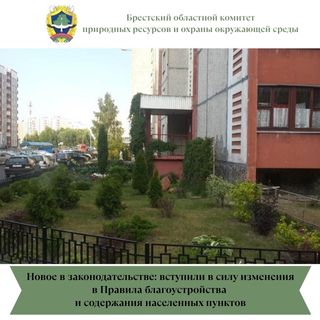 Новое в законодательстве: вступили в силу изменения в Правила благоустройства и содержания населенных пунктов