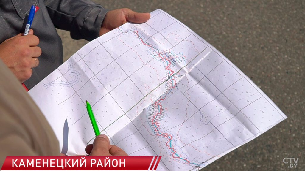 CTV.BY: В Беловежской пуще реализуют пилотный проект по восстановлению гидрологического режима реки