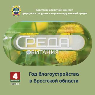 Среда обитания: Год благоустройства в Брестской области (ВИДЕО)