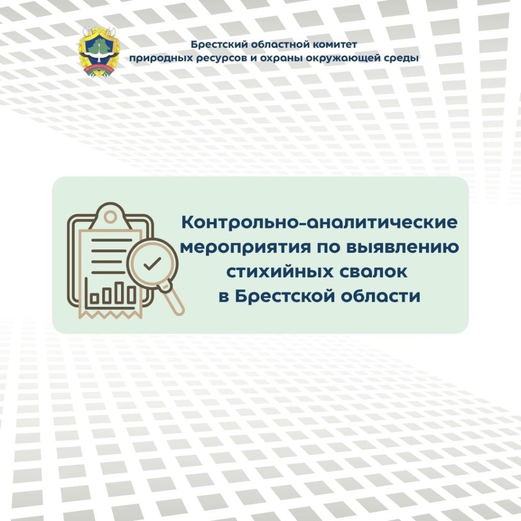 Контрольно-аналитические мероприятия по выявлению стихийных свалок в Брестской области