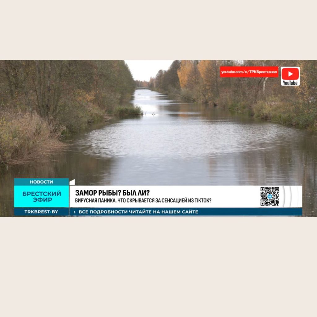 Беларусь 4 Брест: замор рыбы? Был ли? (ВИДЕО)