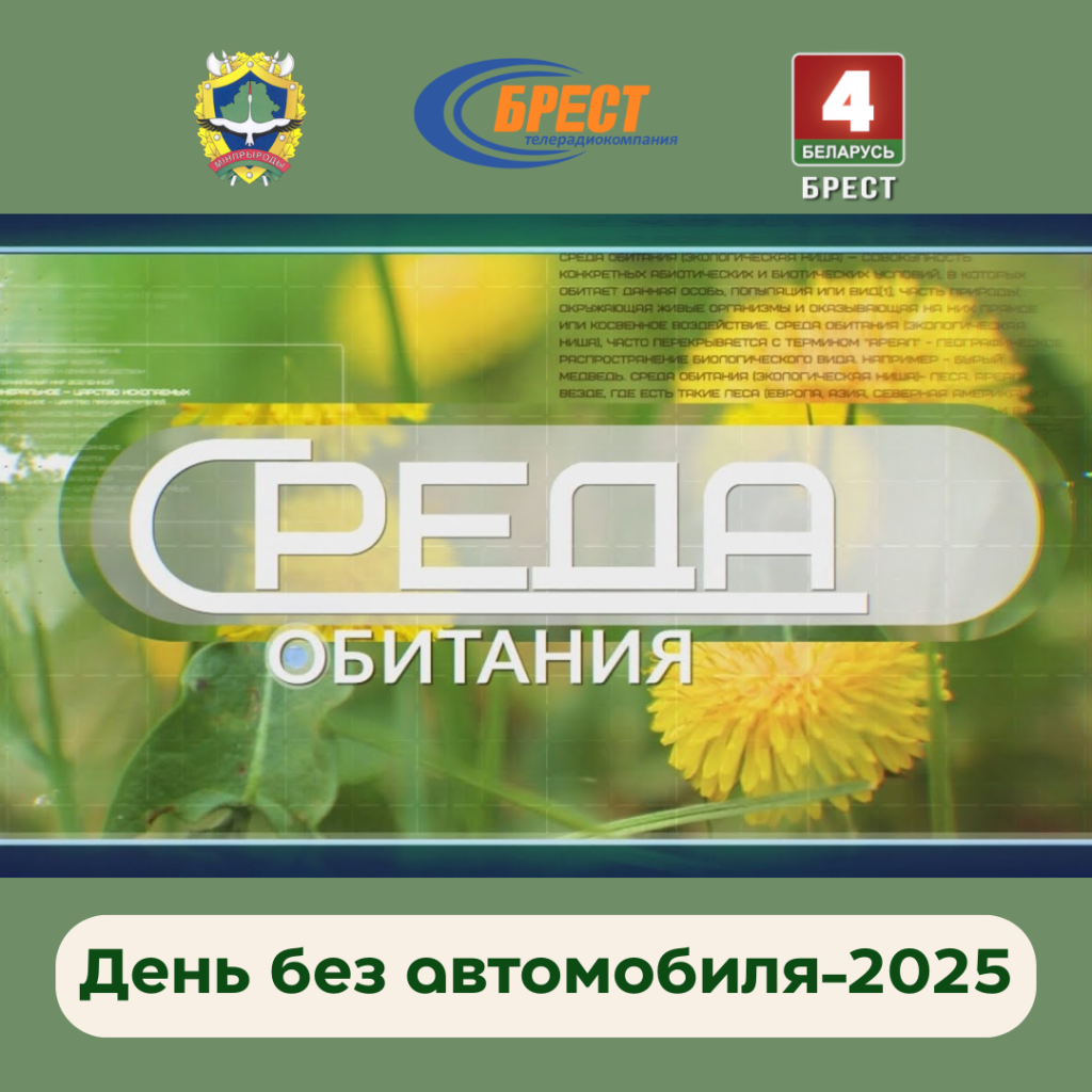 Среда обитания: День без автомобиля-2025 (ВИДЕО)