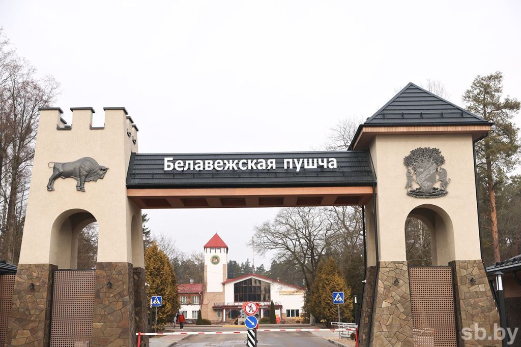 Письмо в ООН в защиту Беловежской пущи подписали Минприроды и Всероссийское общество охраны природы