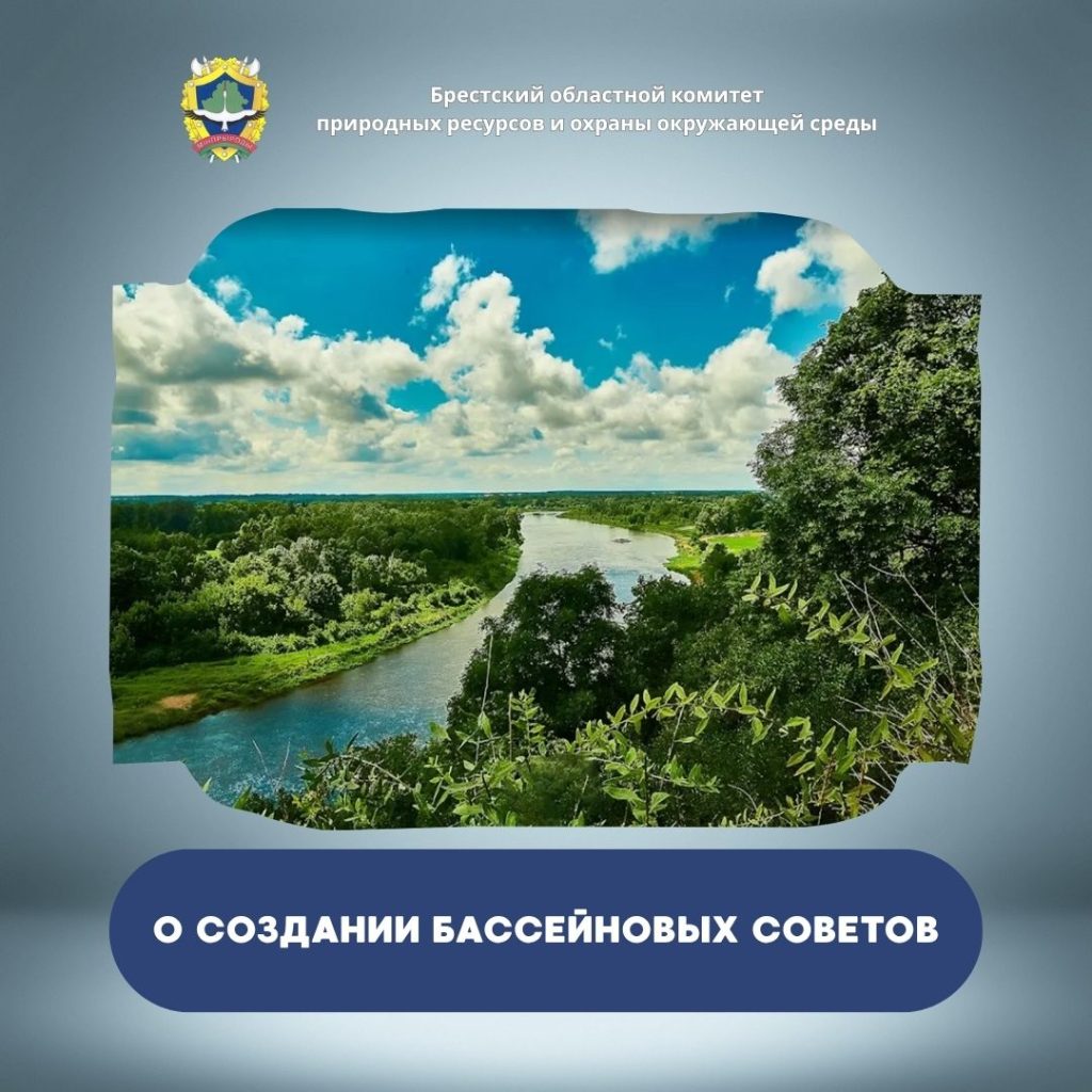 О создании бассейновых советов