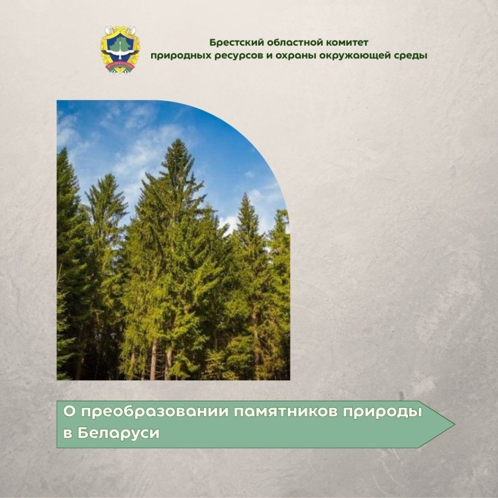 О преобразовании памятников природы в Беларуси