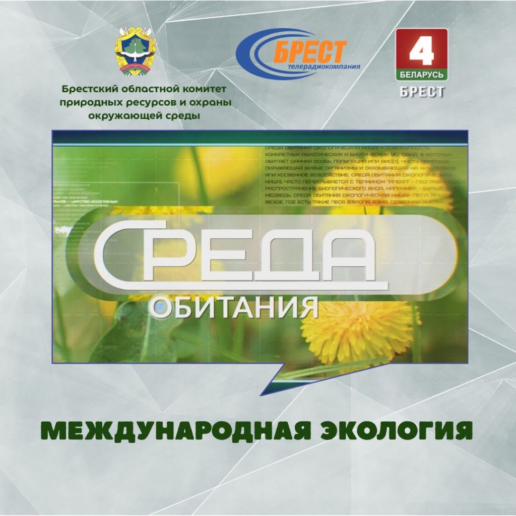 Среда обитания: международная экология(ВИДЕО)