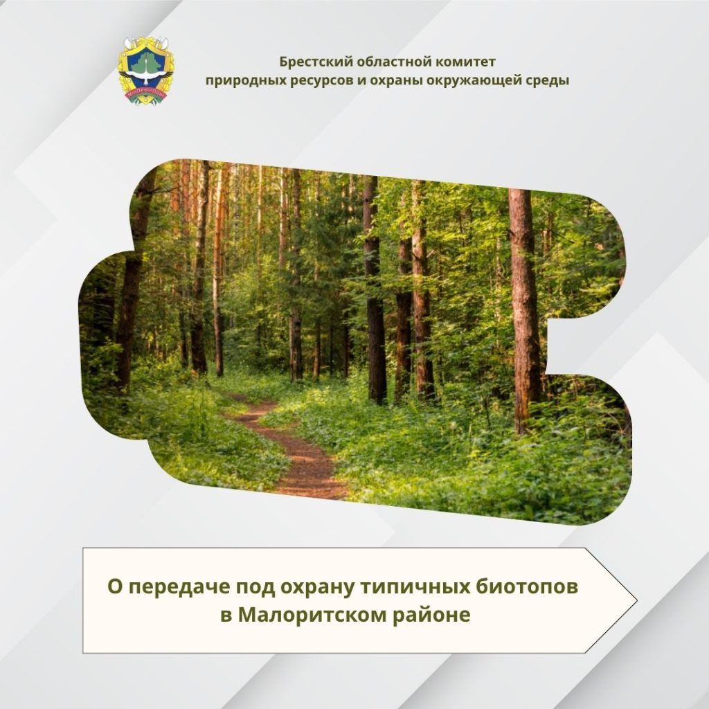 О передаче под охрану типичных биотопов в Малоритском районе