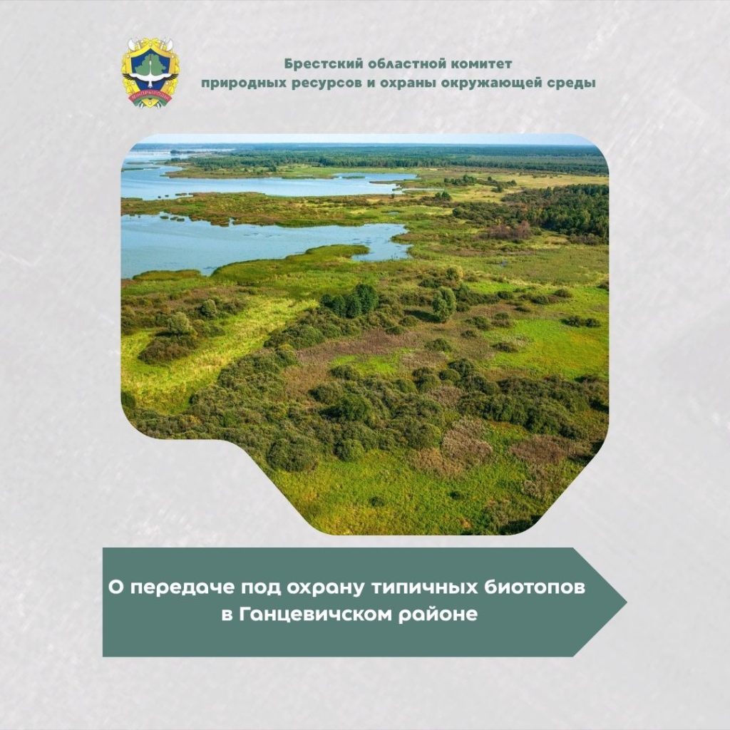 О передаче под охрану типичных биотопов в Ганцевичском районе