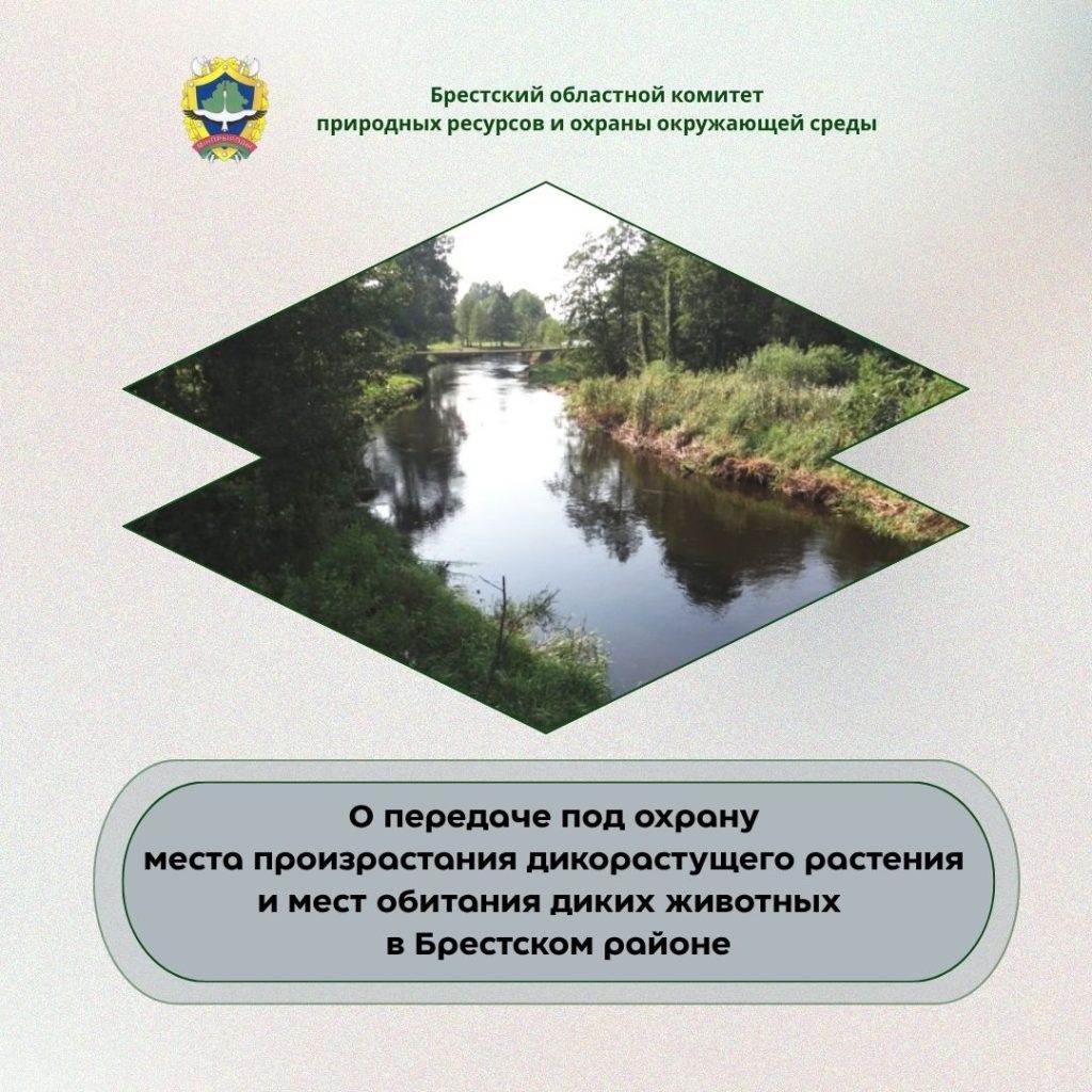 О передаче под охрану места произрастания дикорастущего растения и мест обитания диких животных в Брестском районе