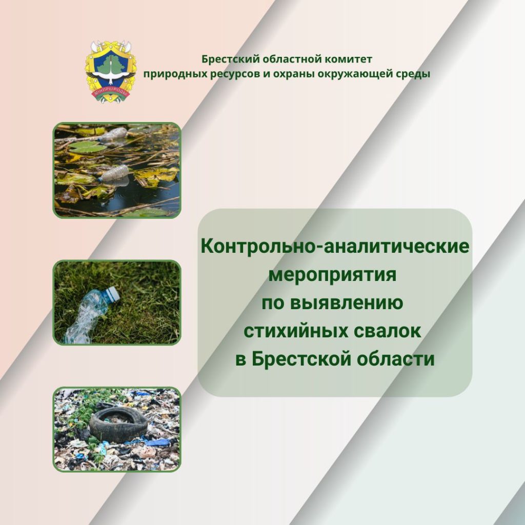 Контрольно-аналитические мероприятия по выявлению стихийных свалок в Брестской области