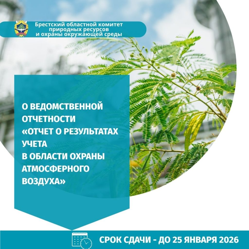 О ведомственной отчетности «Отчет о результатах учета в области охраны атмосферного воздуха»