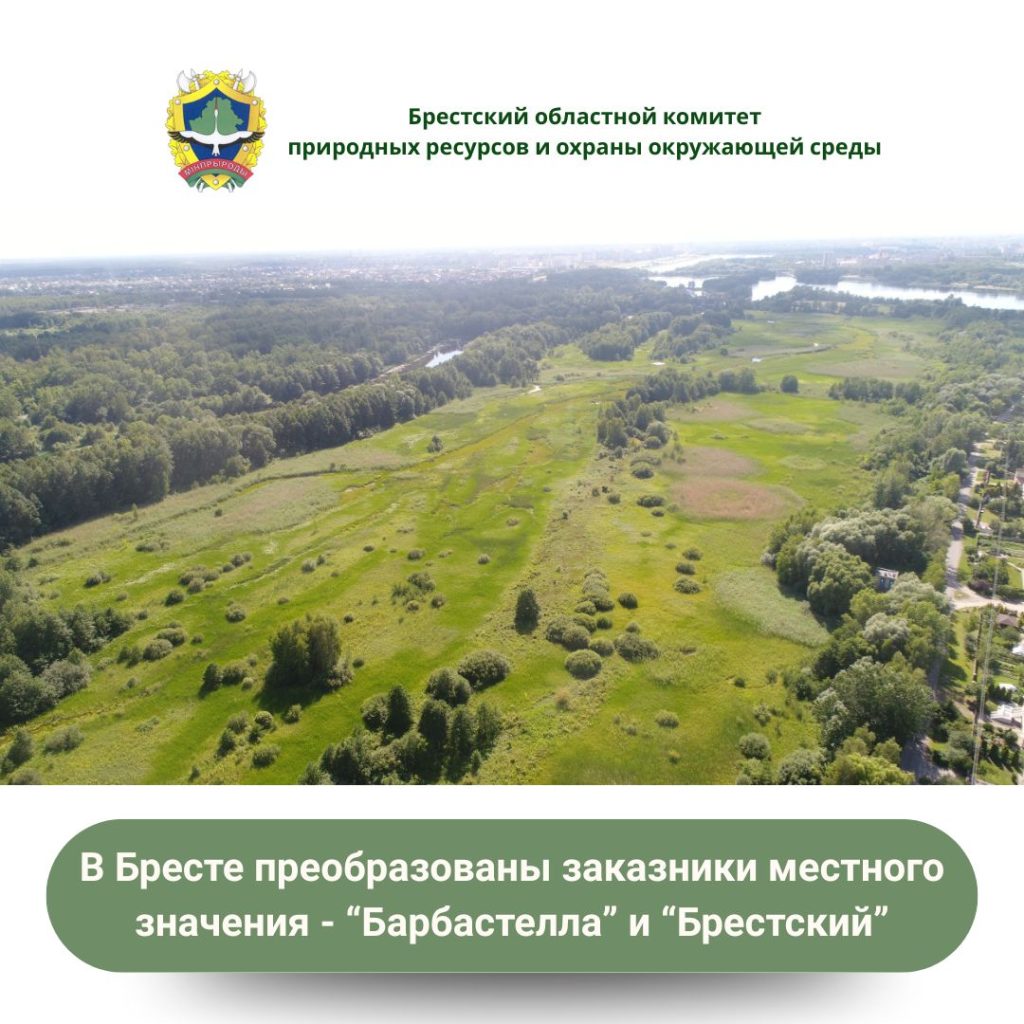 В Бресте преобразованы заказники местного значения — “Барбастелла” и “Брестский”