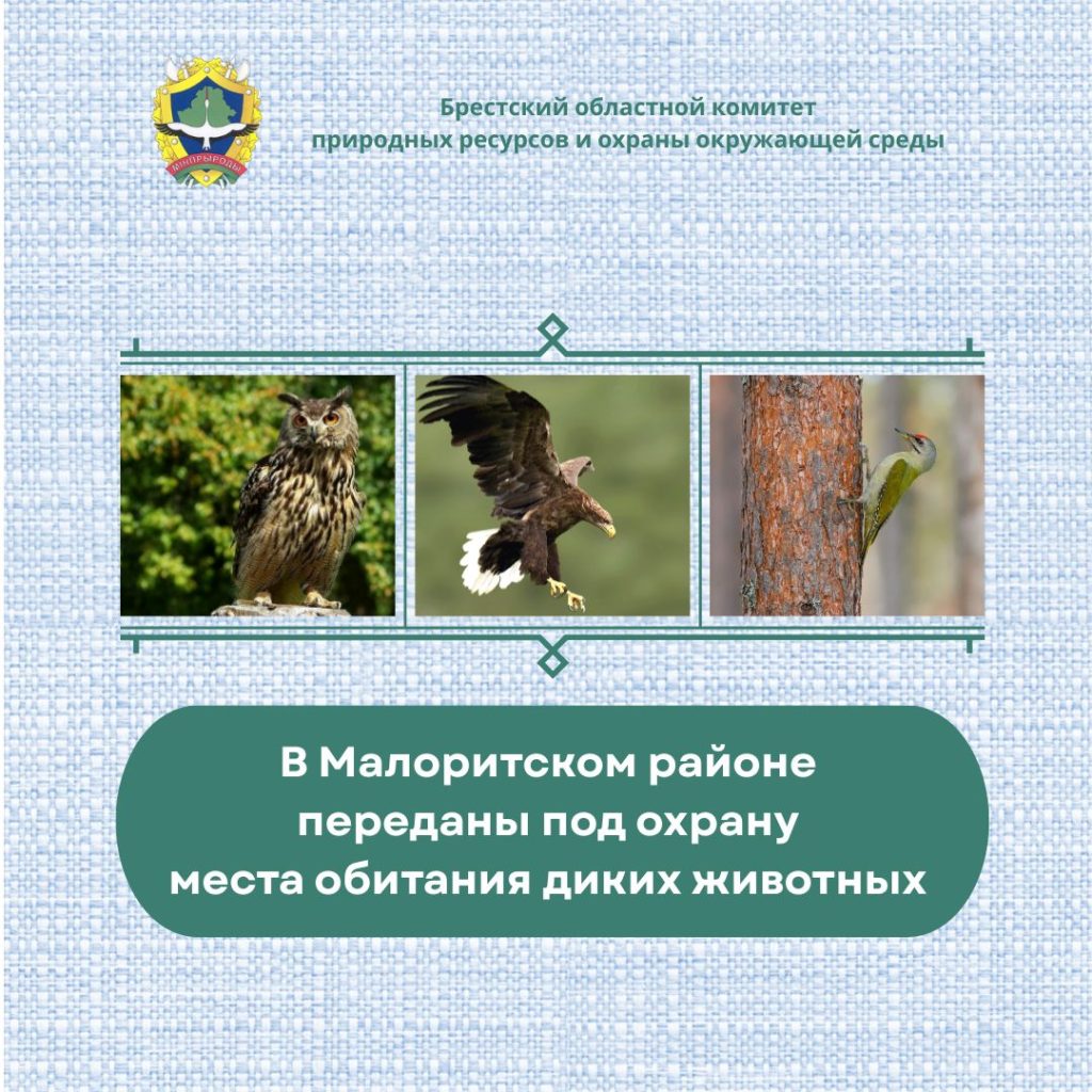 В Малоритском районе переданы под охрану места обитания диких животных