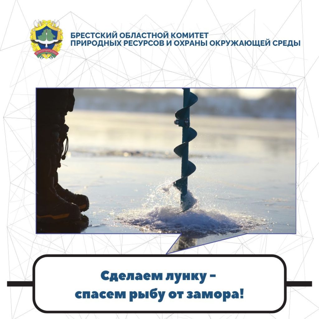 Экологическая акция «Сделаем лунку — спасем рыбу от замора!»