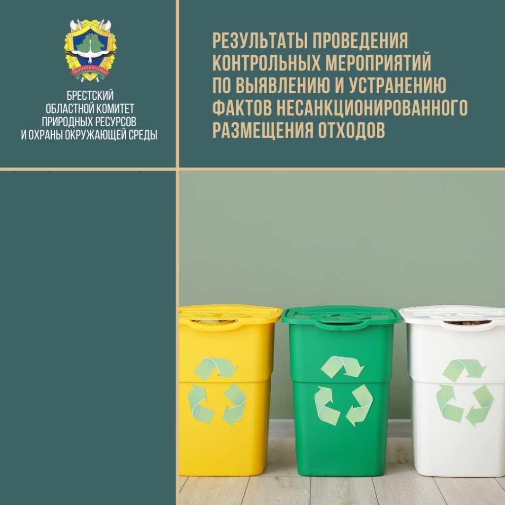 Результаты проведения контрольных мероприятий по выявлению и устранению фактов несанкционированного размещения отходов