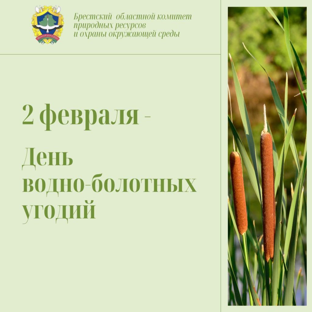2 февраля — День водно-болотных угодий