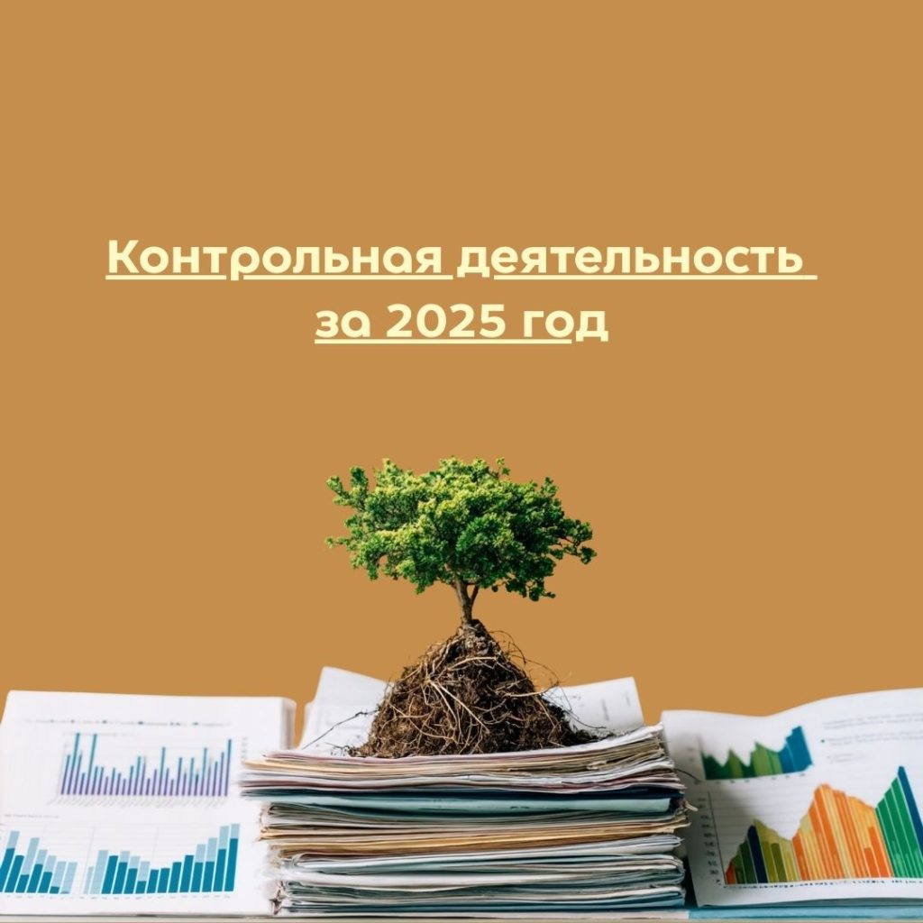 Контрольная деятельность за 2025 год