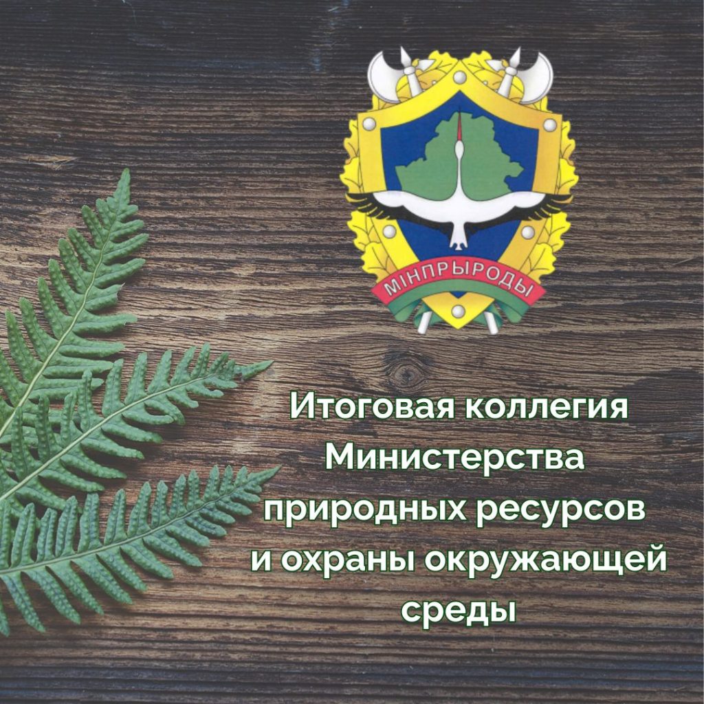 Итоговая коллегия Министерства природных ресурсов и охраны окружающей среды