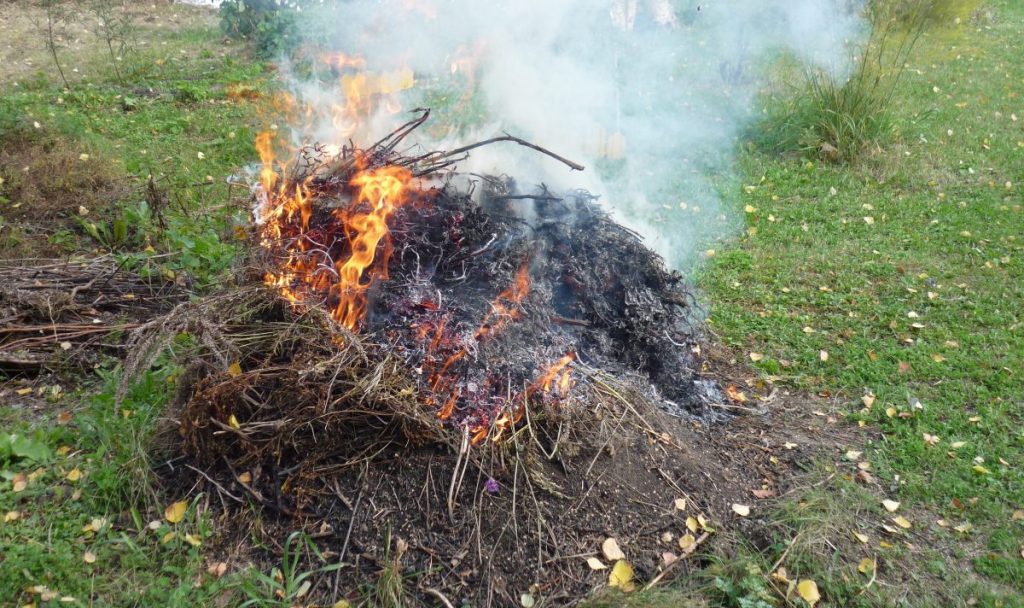 Zarya.by: Брестский областной комитет природных ресурсов: выжигание сухой травы ведет к истощению почвы