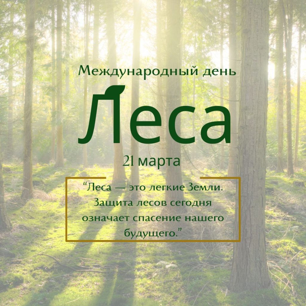 21 марта — Международный день леса