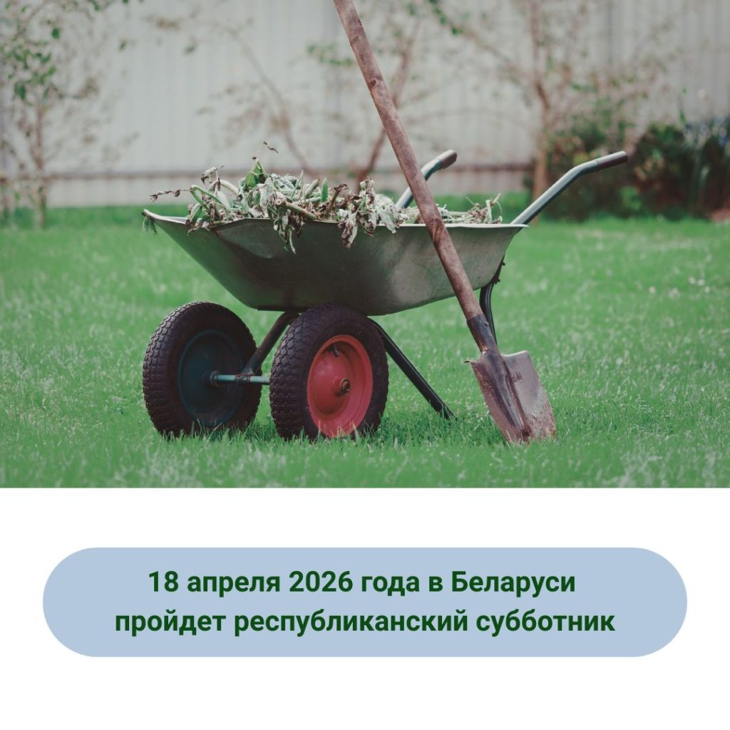 18 апреля 2026 года в Беларуси пройдет республиканский субботник