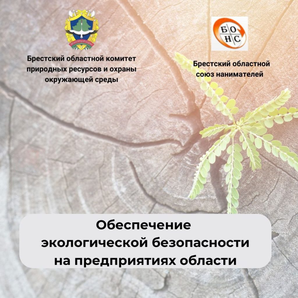 Семинар «Обеспечение экологической безопасности на предприятиях области»