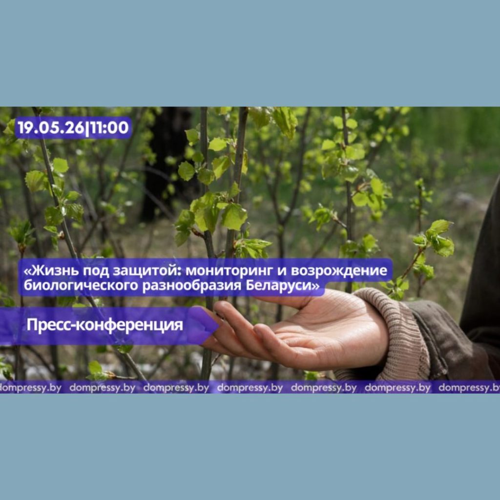 Пресс-конференция «Жизнь под защитой: мониторинг и возрождение биологического разнообразия Беларуси»