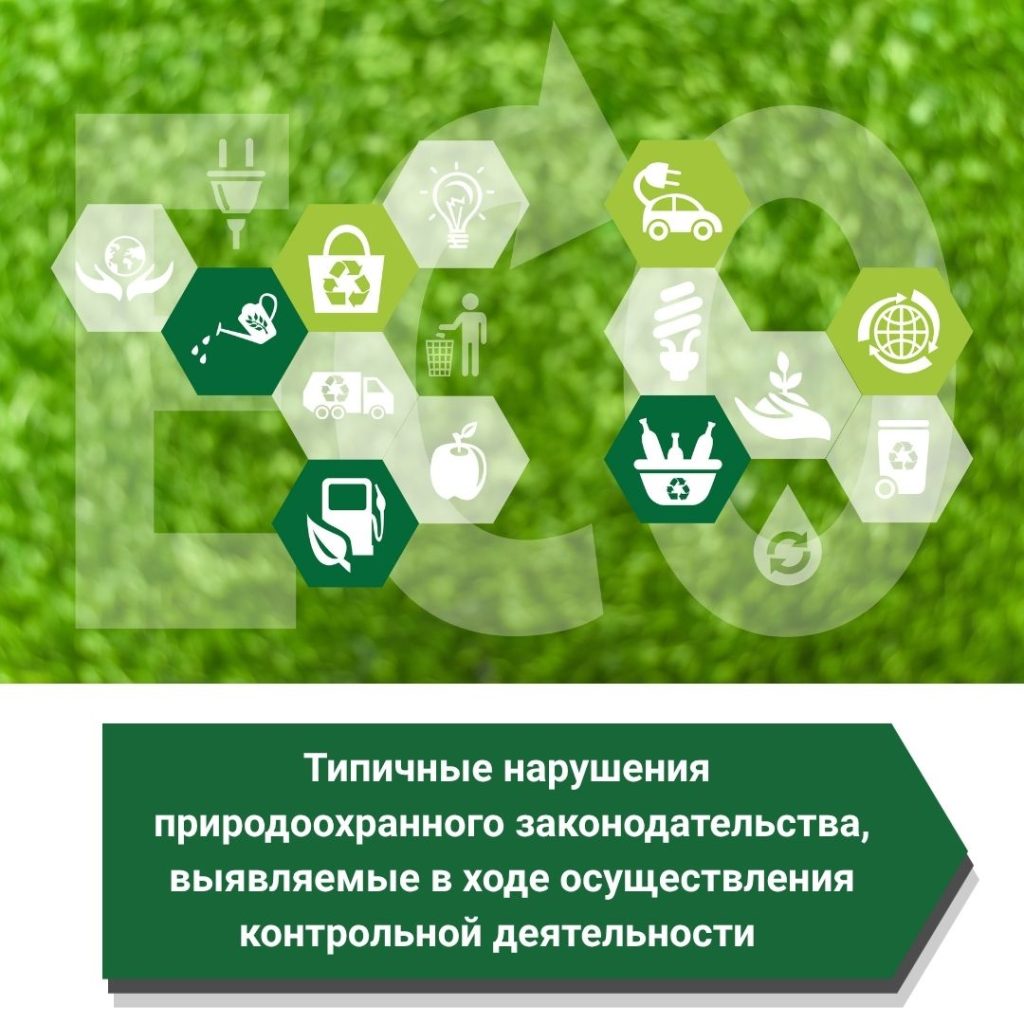 Типичные нарушения природоохранного законодательства, выявляемые в ходе осуществления контрольной деятельности   