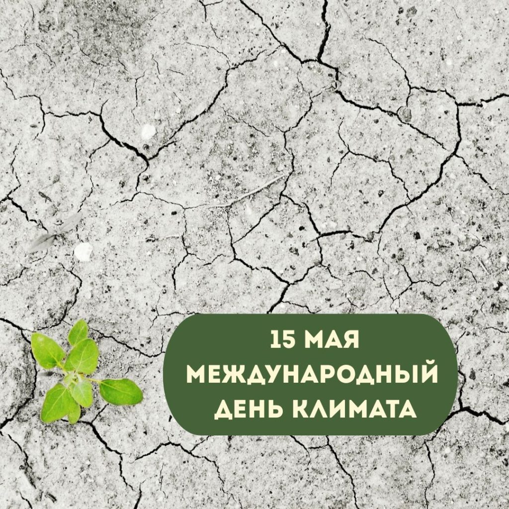 15 мая — Международный день климата