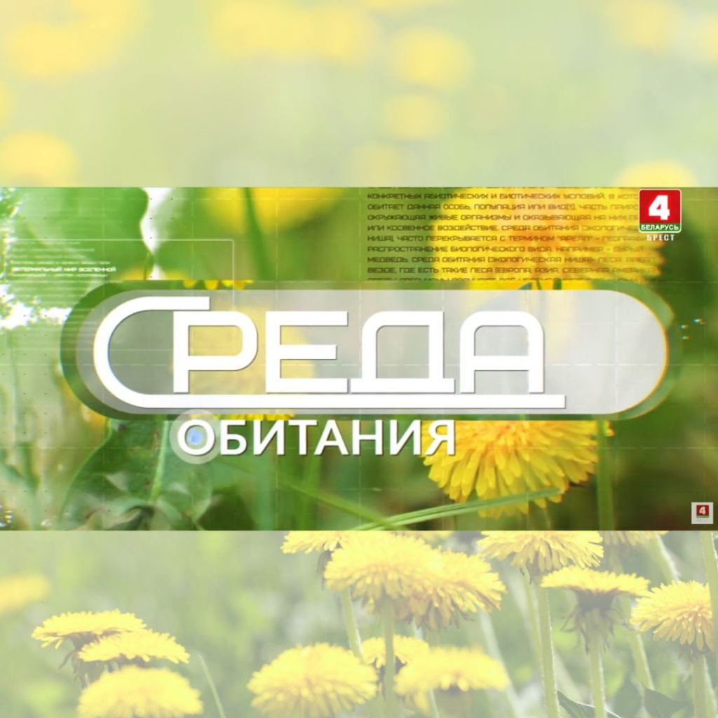 Среда обитания: ко Дню эколога в Беларуси (ВИДЕО)