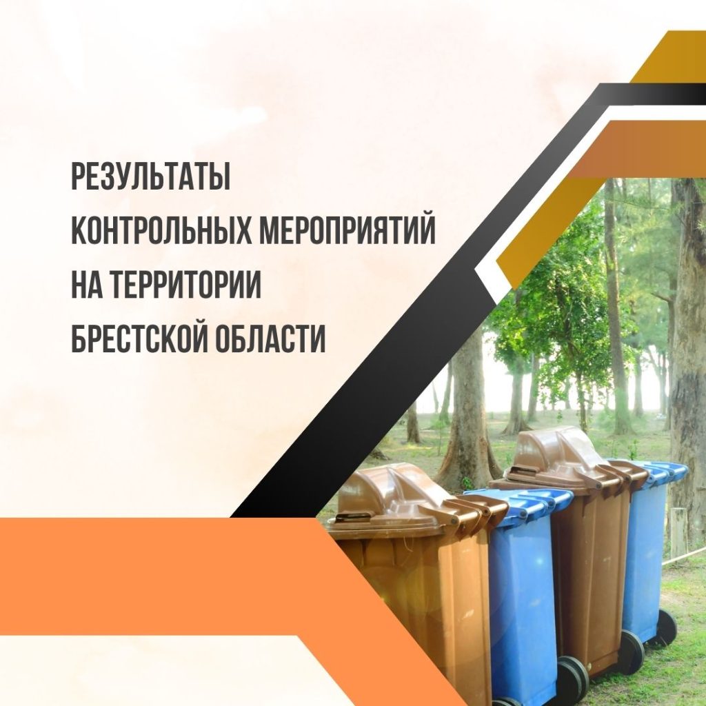 Результаты контрольных мероприятий на территории Брестской области