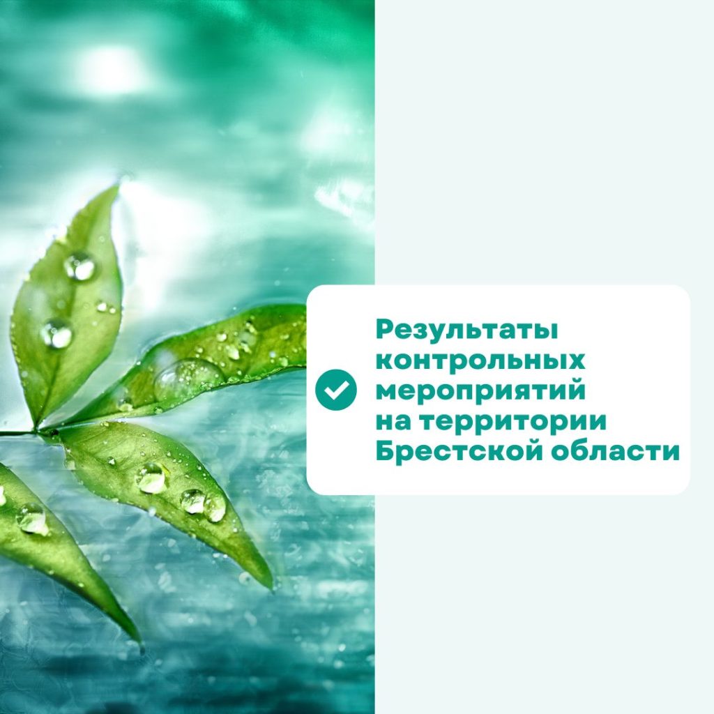 Результаты контрольных мероприятий на территории Брестской области