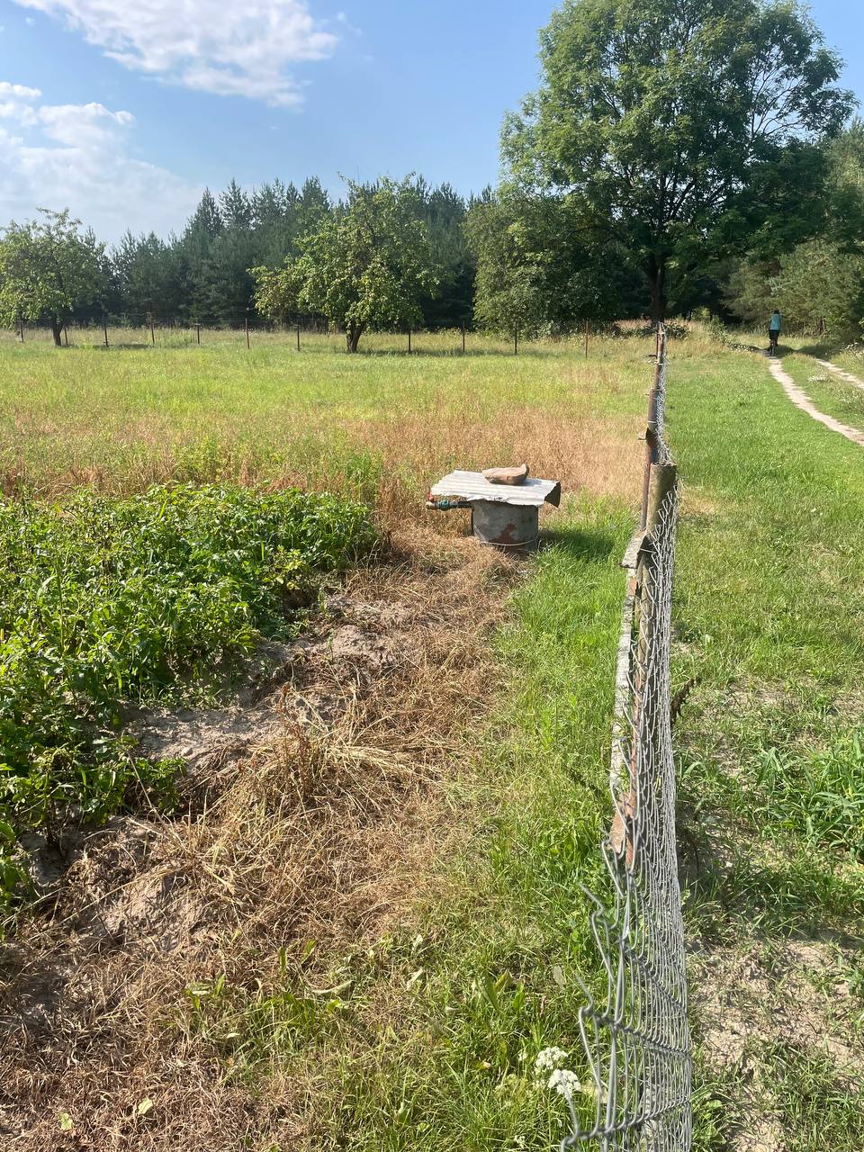 Photo 2026 08 06 15 07 27
