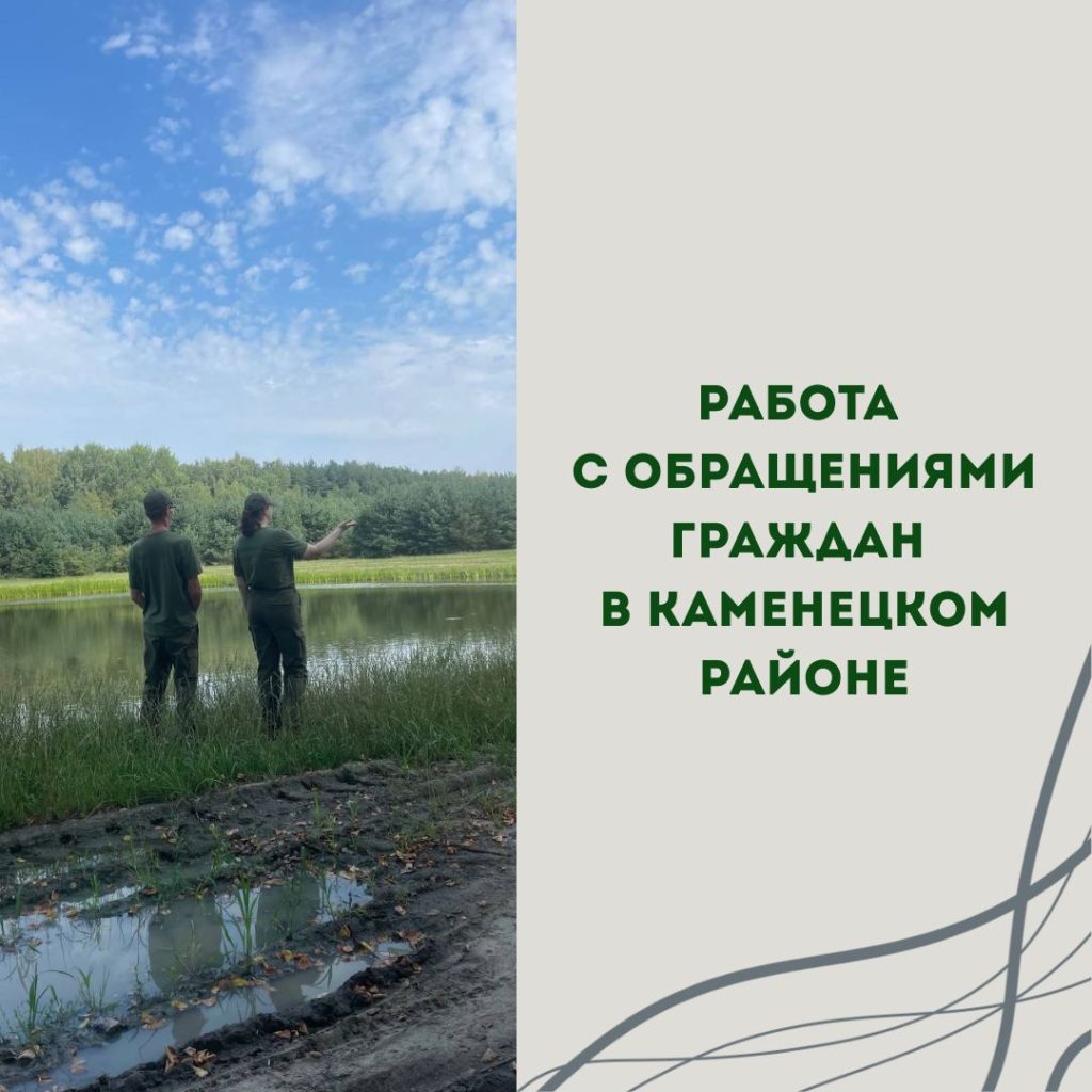 Работа с обращениями граждан в Каменецком районе