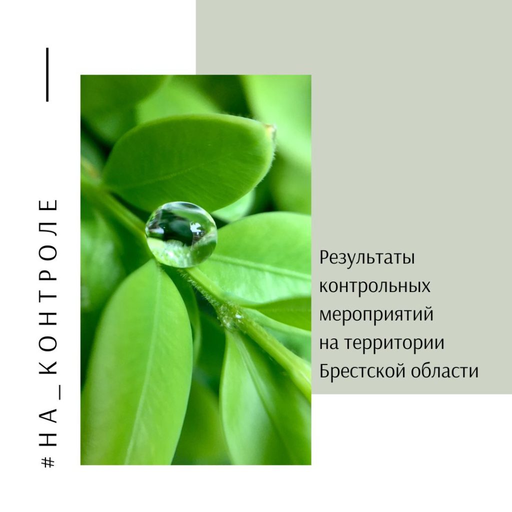 #НА_КОНТРОЛЕ: результаты контрольных мероприятий на территории Брестской области