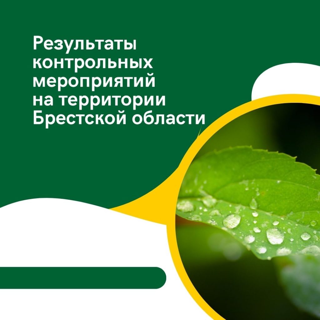 Результаты контрольных мероприятий на территории Брестской области