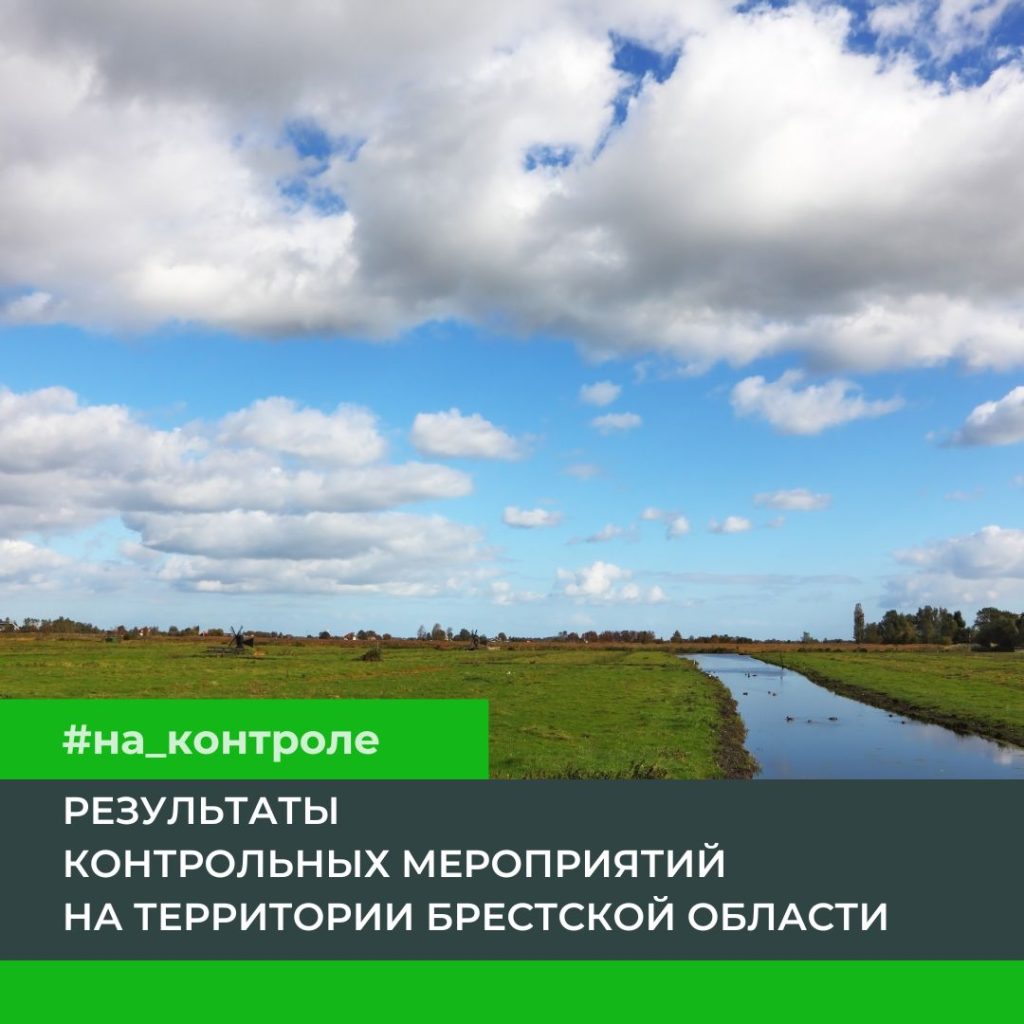 Результаты контрольных мероприятий на территории Брестской области