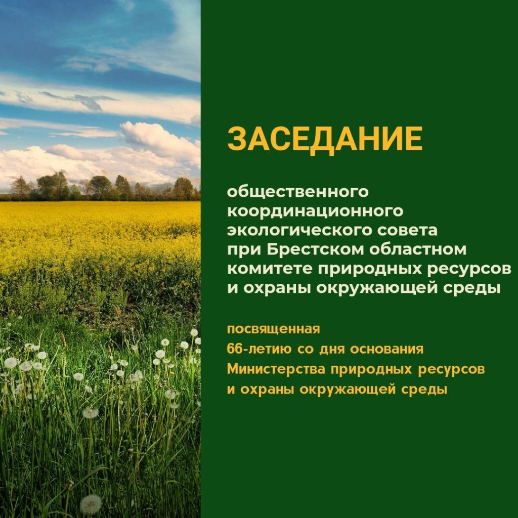 Торжественное заседание общественного координационного экологического совета
