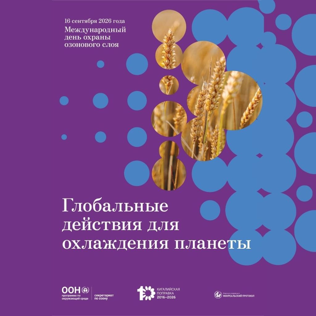 16 сентября — Всемирный день охраны озонового слоя