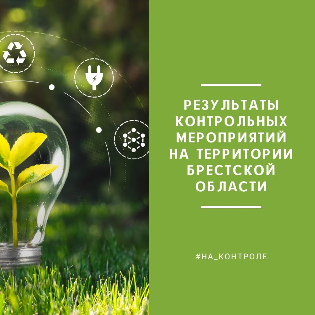 Результаты контрольных мероприятий на территории Брестской области