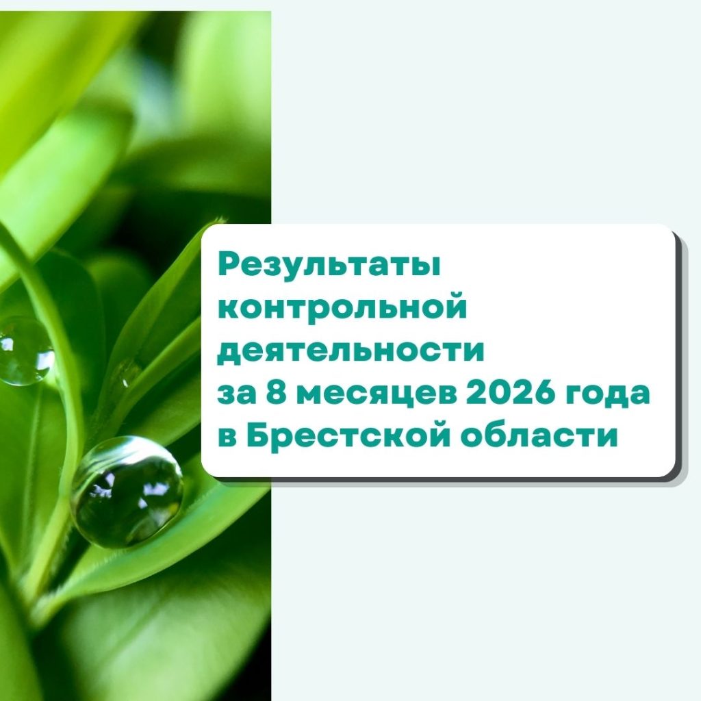 Результаты контрольной деятельности за 8 месяцев 2026 года в Брестской области